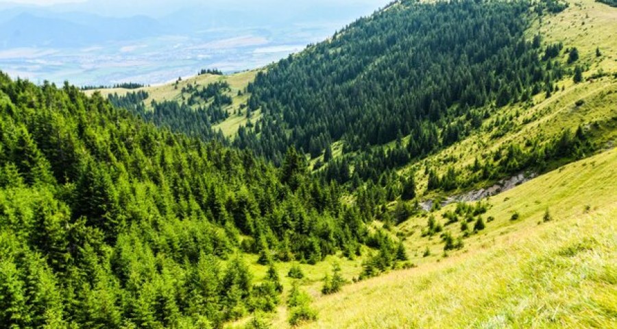 Španielsko hostilo európske stretnutie LIFE projektov zameraných na zmenu klímy